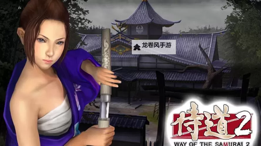 PSP侍道12哪个好？全面对比评测助你选择最佳版本图1