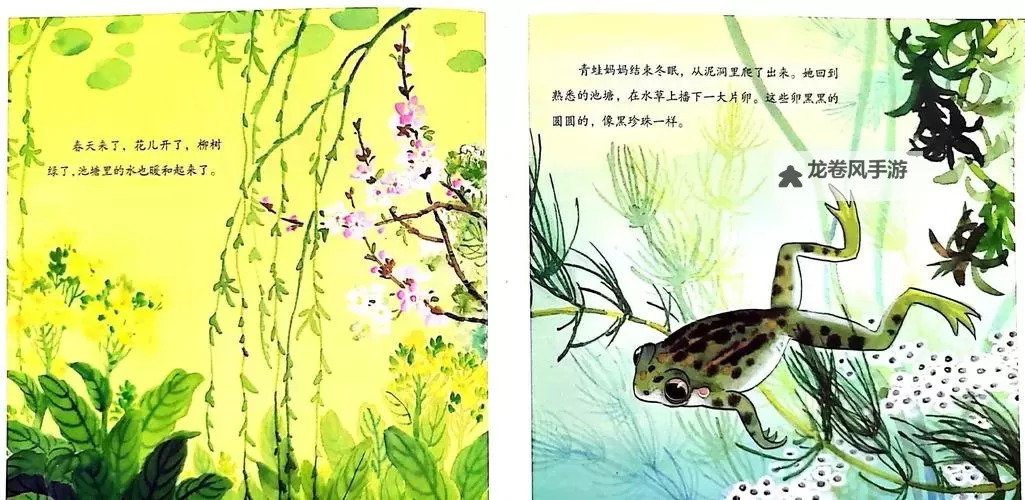 探索九色蝌蚪福利的奇幻世界与精彩内容图1