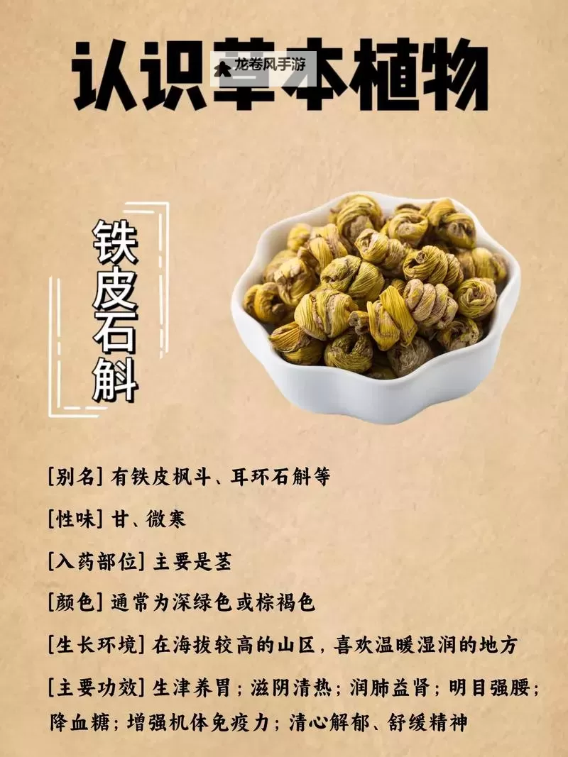 石龙的作用与功效:天然药材的健康守护者图1