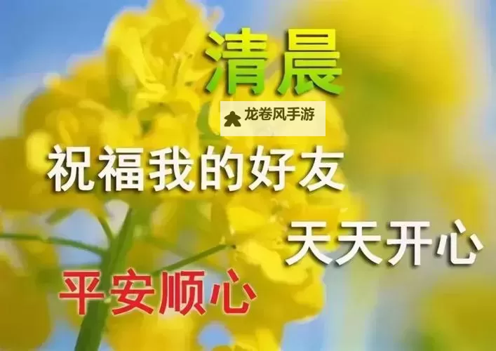 日天天天天天天:追寻每天的@不变的精彩与感动图1