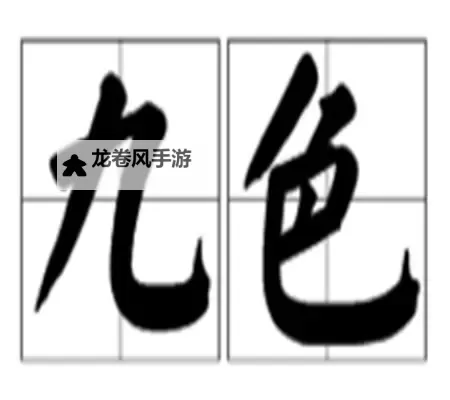 九色丨91PORNY蝌蚪成人：多彩精彩的成人娱乐体验图1