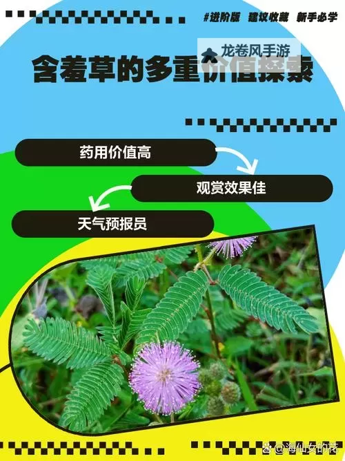 含蓄草实验室高清视频:探索自然与创新的完美融合图1