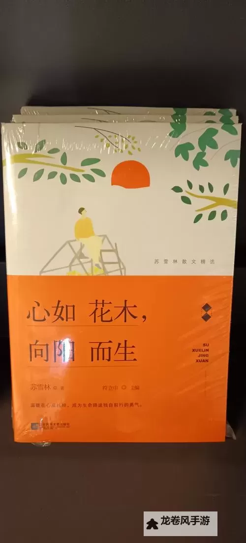 《中国老太婆grdnnr:怀旧中的坚韧与智慧》图1