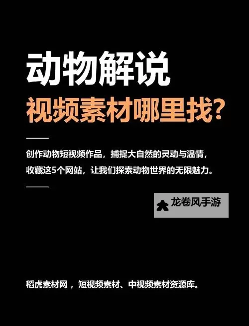 探索世界：十大有意思的网站推荐图2