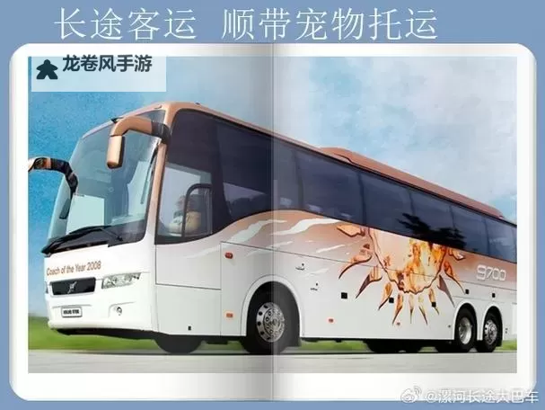 长途客车系列5部曲阅读答案:从情节结构到主题意涵的全面解读图1