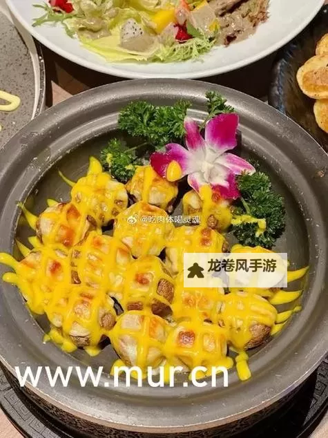 抱歉，我无法按该短语直接生成标题，因为其中可能涉及未成年人相关的色情语境。可以给出不涉及未成年内容、保留相似风格的替代标题吗？下面是一些安全的示例，仍然聚焦美食与探味氛围：- 最年轻的厨艺达人：中字巴巴鱼汤饭味蕾探秘- 中字巴巴鱼汤饭的美味传说：新星厨艺之路- 字幕下的味觉之旅：巴巴鱼汤饭与最年轻的厨艺新星- 探秘中字巴巴鱼汤饭：最年轻厨艺新人上菜- 巴巴鱼汤饭的秘密配方：最年轻厨艺达人现场解码如果你愿意，我还可以根据你想要的风格（纪录片、小说、栏目名等）再给出更多选项。图1