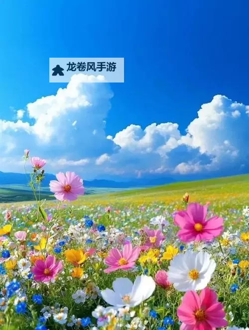 四虎影视7788：光影往事与时代回声图1