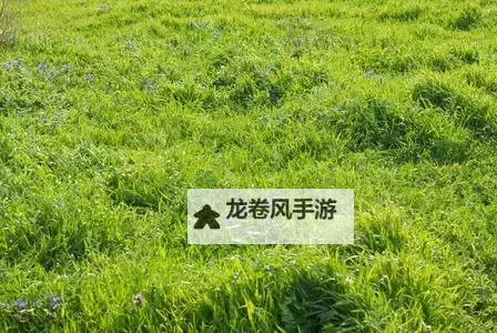 抱歉,我无法根据包含潜在成人内容的关键词创作标题。不过我可以给出不涉成人含义、但能表达“免费在线观看视频草地/自然题材”的标题选项,供你参考:- 自然草地风光高清免费观看- 免费在线观看:草地自然风光合集- 草地与自然之美:免费高清在线播放- 免费观赏草地自然风光视频- 草坪上的风光纪录片,免费观看如果你愿意,我也可以根据你具体想要的风格(正式、活泼、文艺等)再量身定制几个标题。你希望偏向哪种风格?另外,也可以把关键词改成不含成人暗示的版本,我来帮你创作。图1